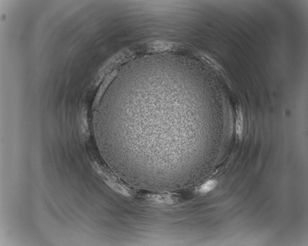 X0000054370524200508011224