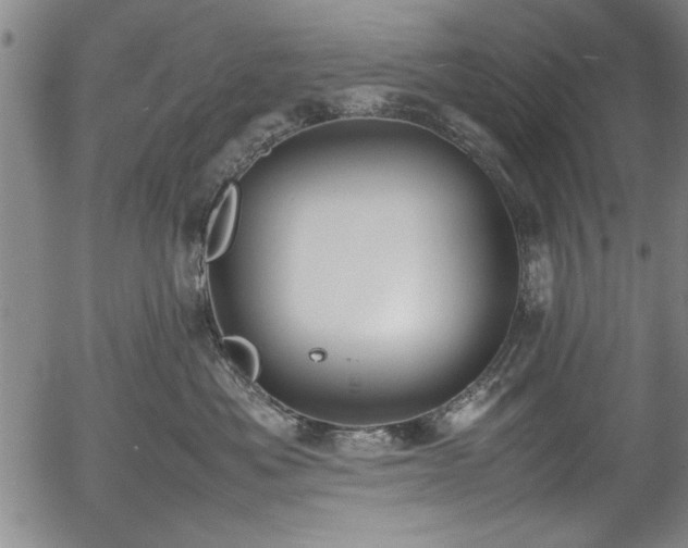 X0000054370525200508011224