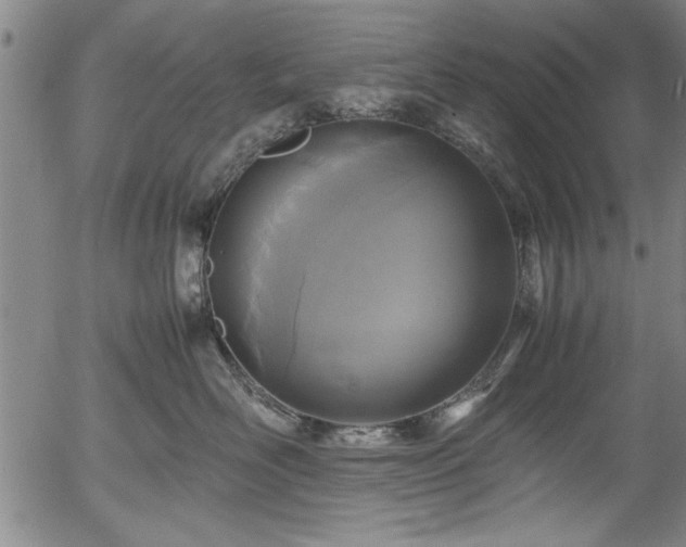 X0000054370526200508011224