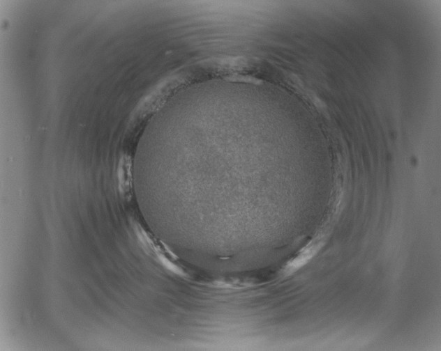 X0000054370528200508011224