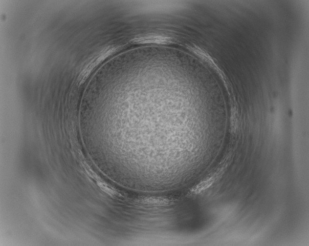 X0000054370529200508011223