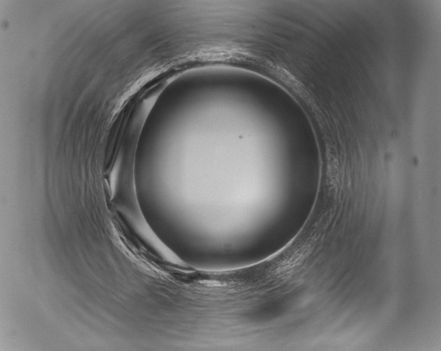 X0000054370530200508011223