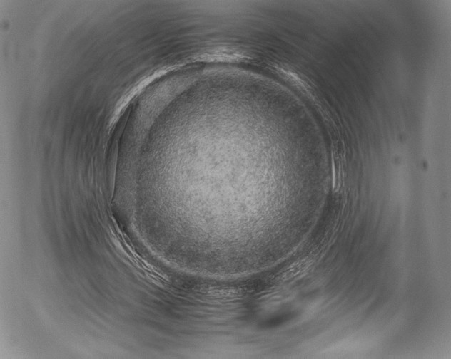 X0000054370531200508011223