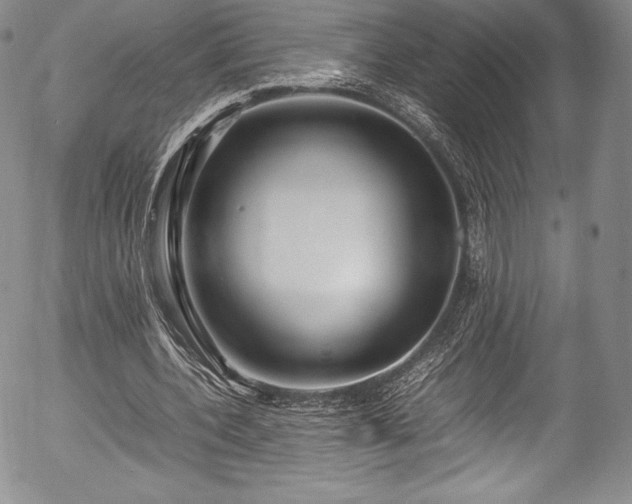 X0000054370532200508011223