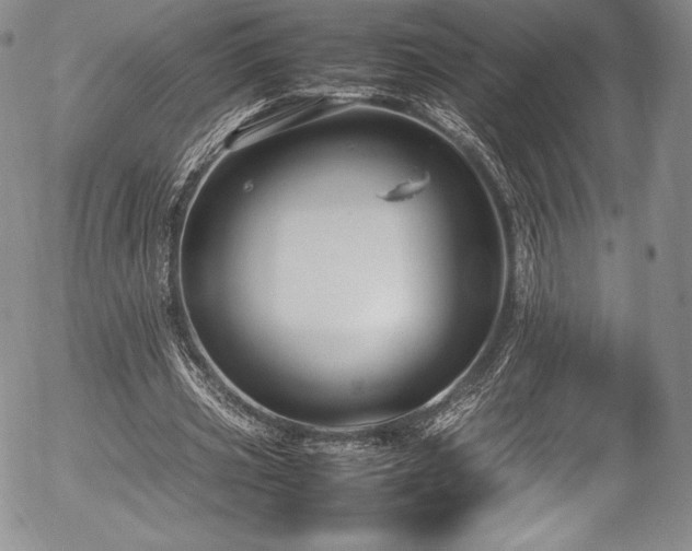 X0000054370533200508011223