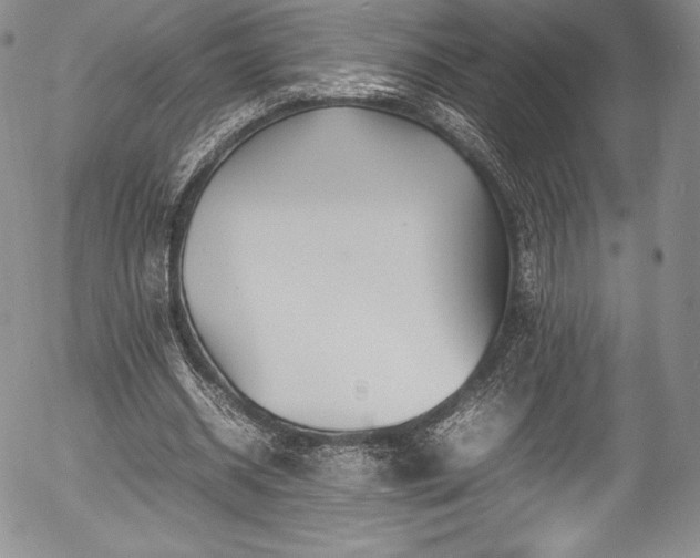 X0000054370534200508011223