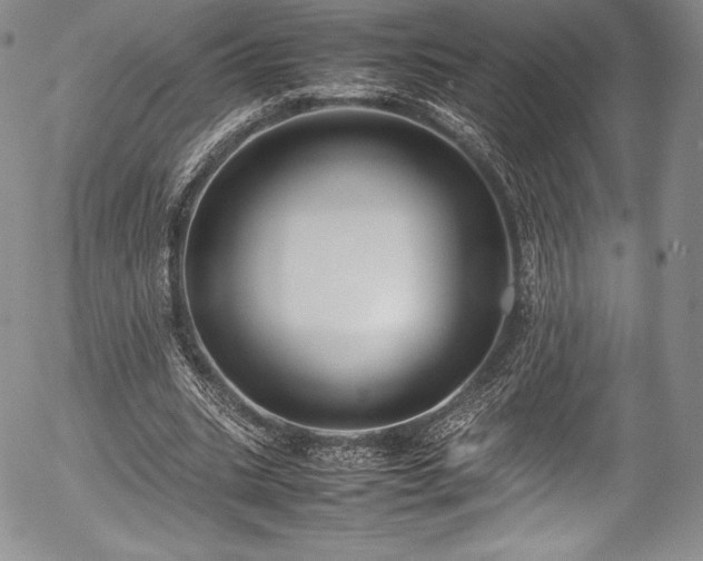 X0000054370535200508011223