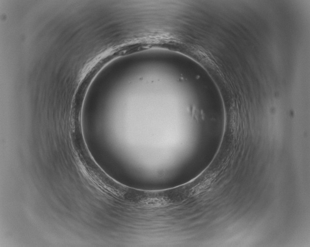 X0000054370536200508011223