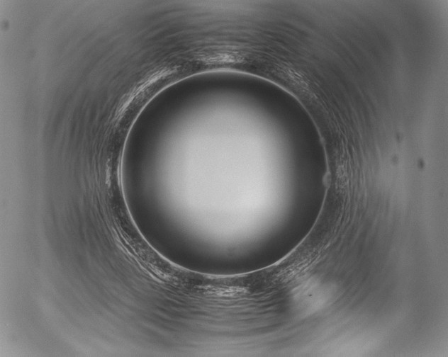 X0000054370539200508011223