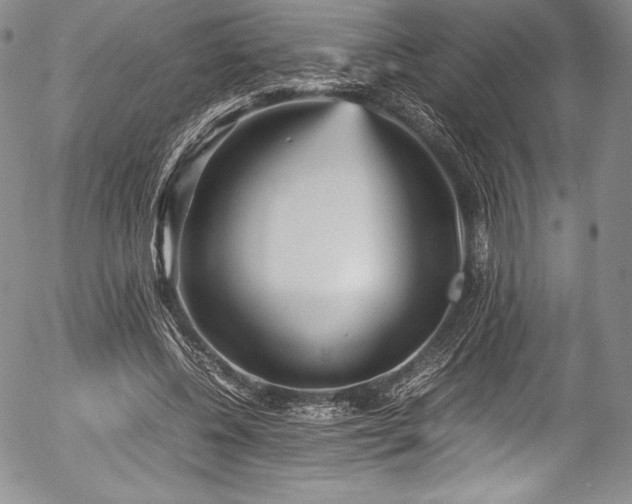 X0000054370540200508011223