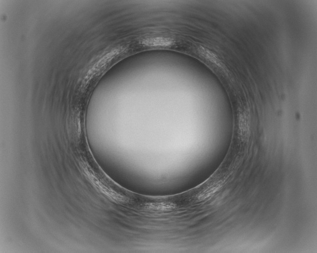 X0000054370541200508011223