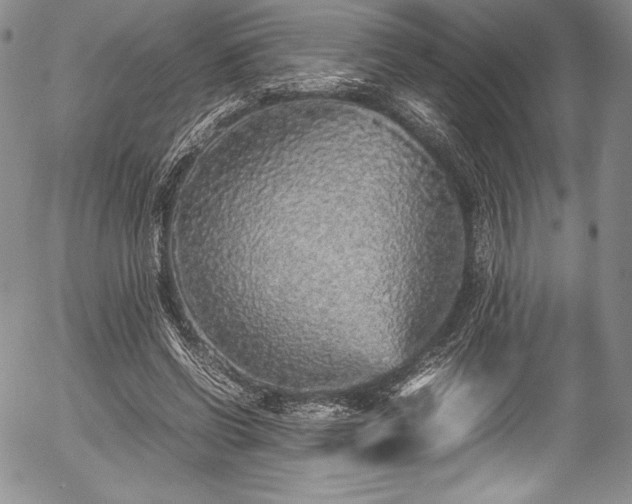 X0000054370542200508011223