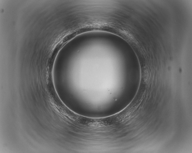 X0000054370544200508011223