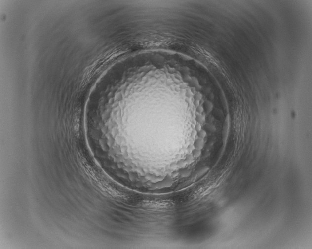 X0000054370545200508011223