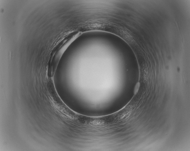 X0000054370546200508011223