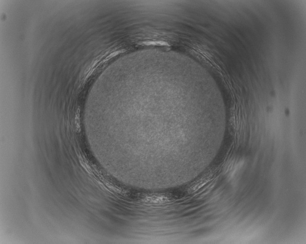 X0000054370547200508011223