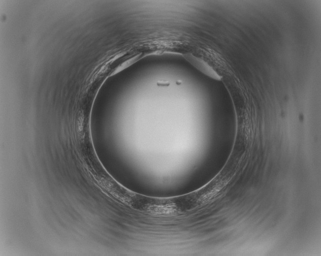 X0000054370548200508011223