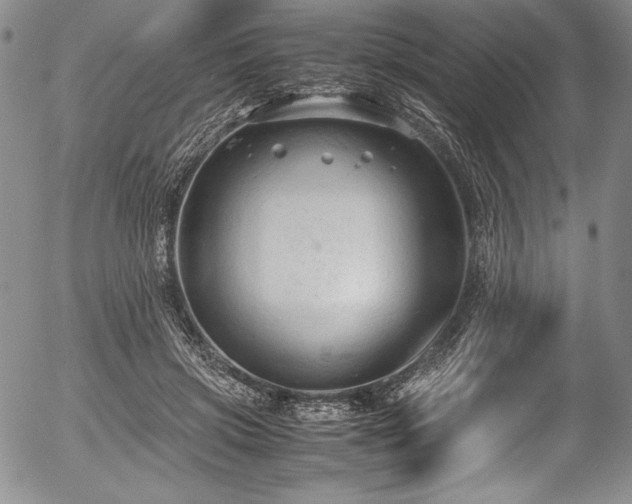 X0000054370549200508011223