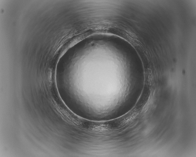 X0000054370550200508011223