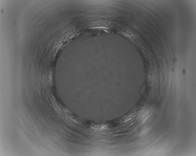 X0000054370551200508011223