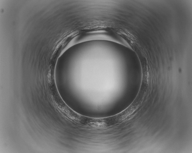 X0000054370552200508011223