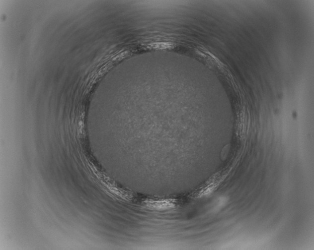 X0000054370553200508011223