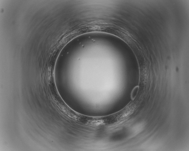 X0000054370554200508011223