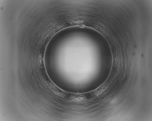 X0000054370555200508011223