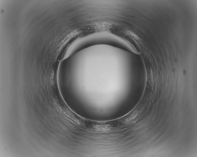 X0000054370556200508011223