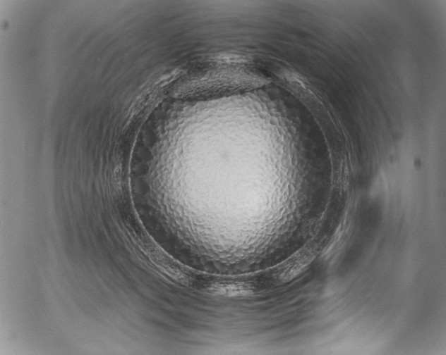 X0000054370557200508011223