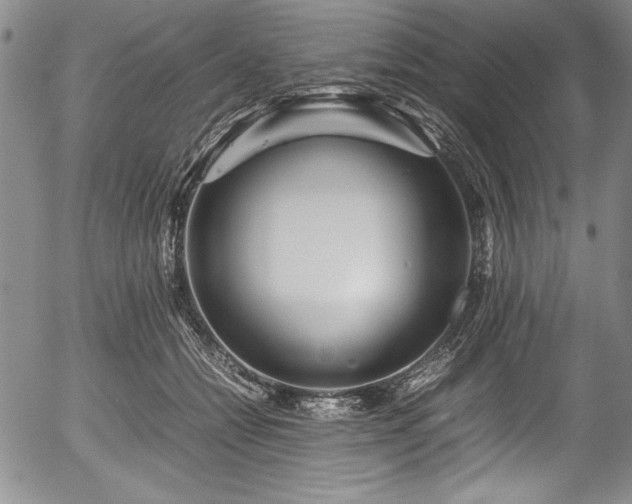 X0000054370558200508011223