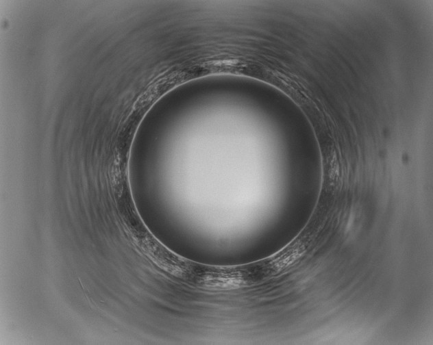 X0000054370559200508011223