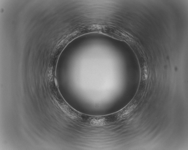 X0000054370560200508011223