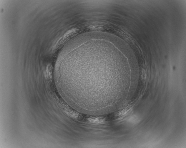 X0000054370561200508011223