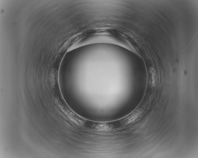 X0000054370562200508011223