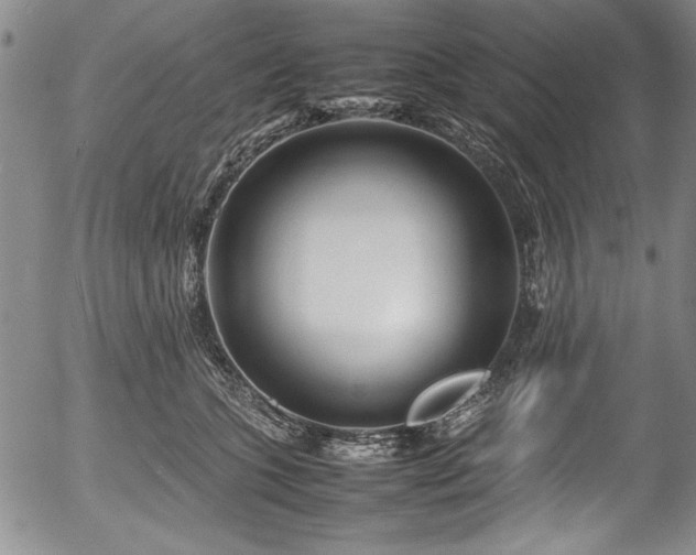 X0000054370563200508011223