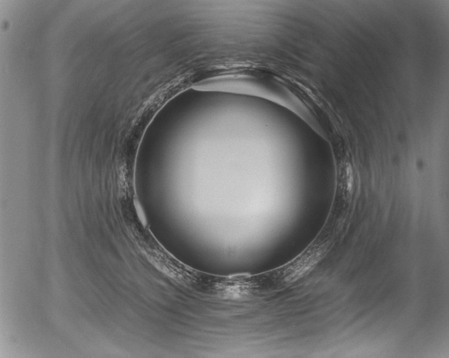 X0000054370564200508011223