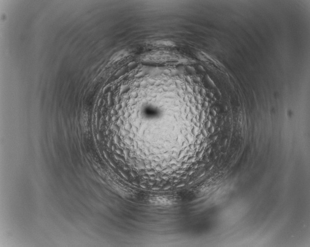 X0000054370565200508011223