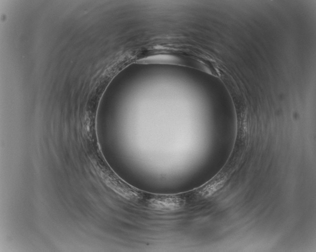 X0000054370567200508011223