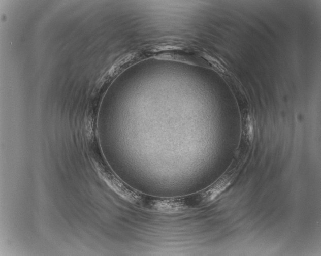 X0000054370568200508011223