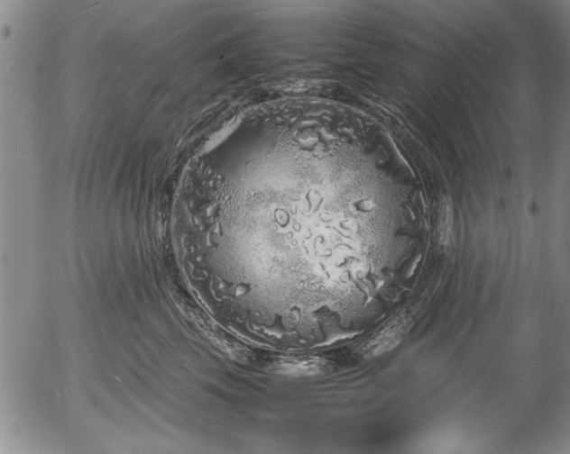 X0000054370569200508011223