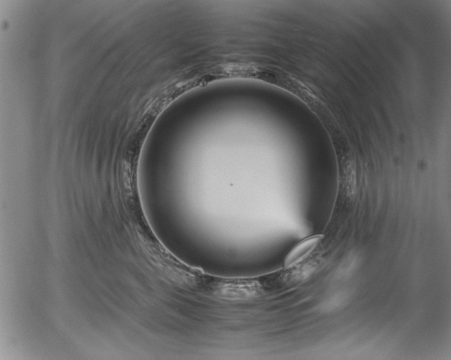 X0000054370571200508011223