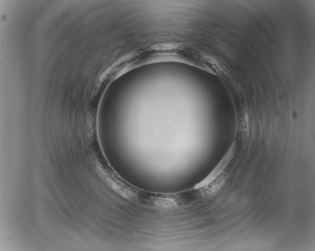 X0000054370572200508011223