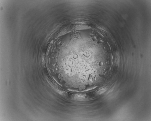 X0000054370573200508011223