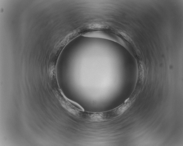 X0000054370574200508011223