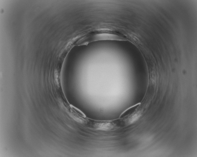 X0000054370575200508011223