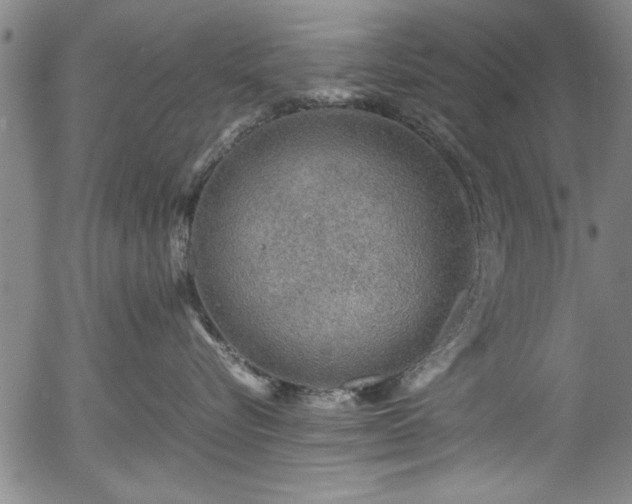 X0000054370576200508011223