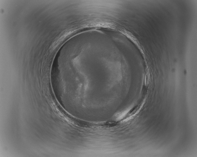 X0000054370577200508011223