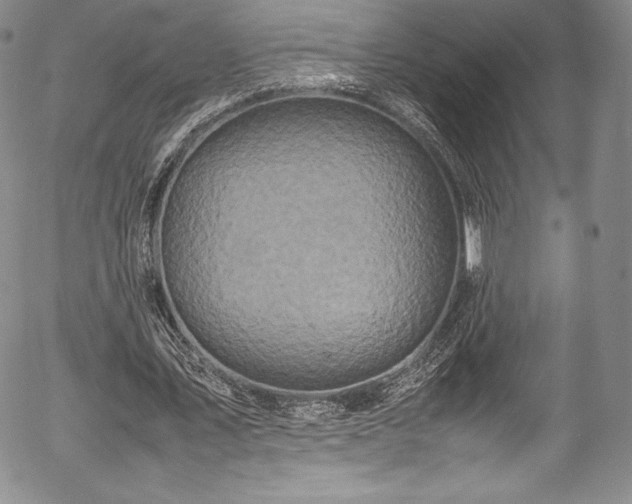 X0000054370579200508011223