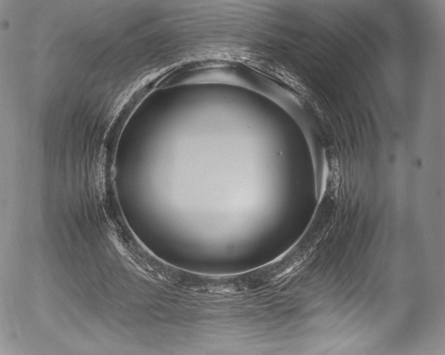 X0000054370580200508011223